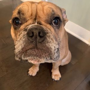 Meet your Posher, Dylan